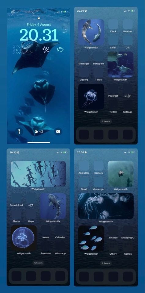 Sharks Homescreen, Shark Themed Iphone, Water Iphone Wallpaper Aesthetic, Shark Home Screen Layout, Whale Homescreen, Shark Iphone Layout, Shark Themed Phone Layout, Whale Shark Wallpaper Iphone, Shark Phone Layout