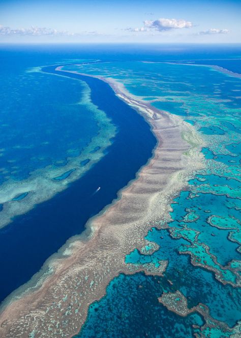 Barrier Reef Australia, Oceania Travel, The Great Barrier Reef, Coral Reefs, Great Barrier Reef, Pretty Places, Australia Travel, Travel Inspo, Travel Insurance