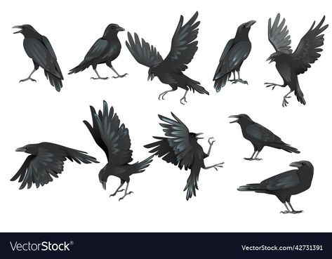 Set of black raven bird in different poses vector image on VectorStock Cartoon Crow, Eagle Background, Flying Illustration, Raven Flying, Raven Images, Crow Flying, Crow Silhouette, Crows Drawing, Native American Tattoo