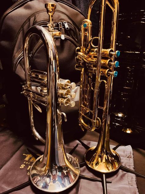 Brass Instruments Aesthetic, Trumpet Aesthetic, Jazz Aesthetic, Turquoise Furniture, Practice Room, Jazz Trumpet, Trumpet Music, Music Funny, Background Phone