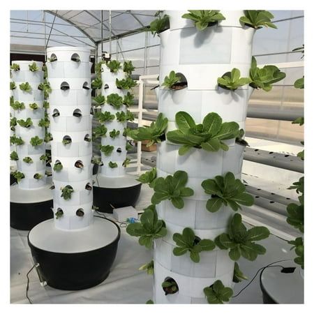 1.Grow Faster - 3 times faster than 30% greater yields. Aeroponic vertical farming tower garden system grows plants with only water and nutrients rather than dirt.Research has found aeroponic systems grow plants three times faster and produce 30% greater yields on average.That means you'll be enjoying abundant,nutritious harvests just weeks after planting. 2.Convenient installation Simple and fast installation,saving customers the remaining time cost. 3. Grow Healthier Better Protect from pests Juice Plus Tower Garden, Aeroponic Tower, Vertical Hydroponics, Planting Lettuce, Aeroponic System, Garden Tower, Garden Vertical, Indoor Farming, Indoor Greenhouse