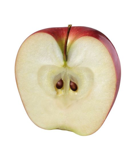 Apple (Half). Half of Apple (with outline path , #Sponsored, #Apple, #outline, #path #ad Half Apple, Apple Outline, Snow White Apple, Apple Water, Apple Images, Apple Picture, Cute Moth, Fruit Picture, Apple Icon