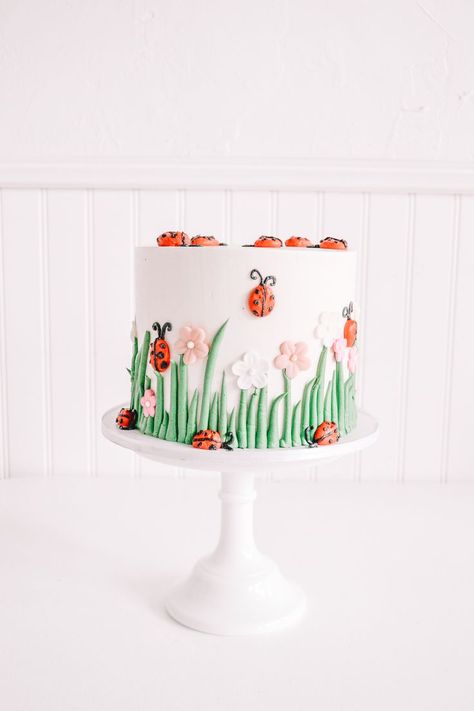 Ladybug Birthday Cake with soft natural hues for little girl's birthday party. Ladybird Birthday Cake, Ladybug First Birthday Cake, Birthday Cake Ladybug, Ladybug Cake Smash, Lady Bug Themed Party Food, Bug Theme Cake, Lady Bird Cake, Ladybird Birthday Theme, Ladybug Themed Birthday