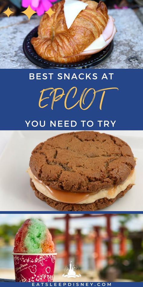 Diy Epcot Ball, Best Food In The World, Park Snacks, Best Food At Disney World, Epcot Themed Party, Epcot Snacks, Best Disney World Snacks, Disney World Snacks, Epcot Snacks Around The World