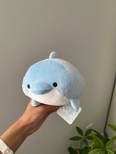 Whale Plushie Aesthetic, Beach Stuffed Animals, Cursed Stuffed Animals, Sea Animal Plushies, Aquarium Plushies, Dolphin Plushies, Aesthetic Dolphin, Blue Plushie, Cute Stuff Toys