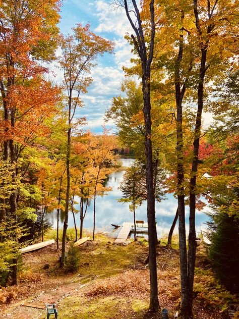 Fall in northern wisconsin 2021 North Woods Wisconsin, Wisconsin Aesthetic, Wisconsin Nature, Wisconsin Fall, Northern Wisconsin, Madison Wisconsin, Beautiful Autumn, Rustic Cabin, Fall Foliage