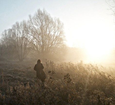 Aesthetic Daryl Dixon, Aaron Twd Aesthetic, Alexandria Twd Aesthetic, Daryl Dixon Crossbow Aesthetic, Twd Shifting Visuals, Daryl Aesthetic, Twd Visuals, Twd Widgets, Twd Shifting