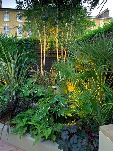 Tropical Courtyard, Modern Planting, Small Tropical Gardens, Patio Decks, Small Urban Garden, Landscaped Garden, Tropical Garden Design, Jungle Gardens, Back Garden Design