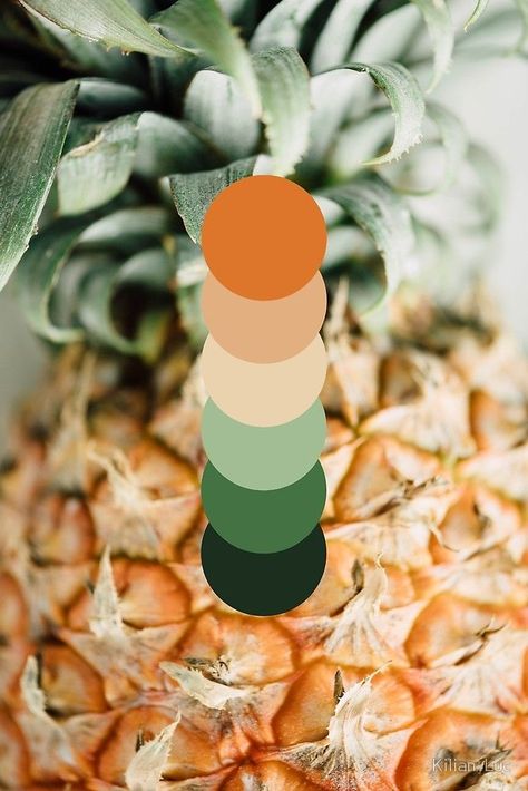 Pineapple Colour Palette, Pineapple Color Palette, Fruity Color Palette, Bedroom Color Combos, Aesthetic Color Combos, Tropical Color Scheme, 9 Color Palette, Cheap Cabin, Tropical Color Palette