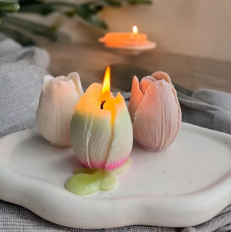 So excited to share with you our new tulip 🌷 candles! Made with soy wax - natural & nontoxic. Choose your favorite color: beige, white or 2 tone on Etsy!🔥🥰😍🥰🥰 which color is you favorite? Candle Blends, Natural Candle Scents, Tulip Candle, Candles Birthday, Tulip Garden, Modern Candle, Decorative Candles, Eco Friendly Candles, Modern Candles