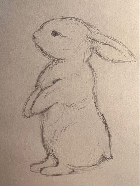 How To Draw A Bunny Face, How To Draw A Rabbit Easy, Bunny Base Drawing, Realistic Bunny Drawing, How To Draw Rabbits, Bunny Plushie Drawing, Cute Rabbit Drawing Easy, Bunny Drawing Reference, Drawing Ideas Bunny