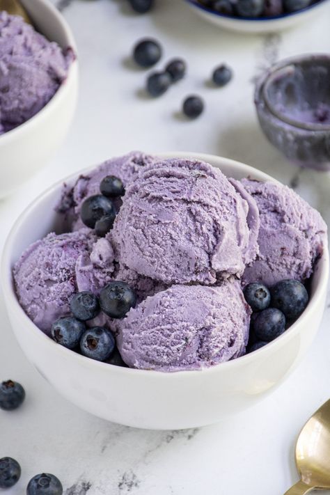 Blueberry Sherbet, Blueberry Gelato, Basil Gelato, Lemon Gelato, Gameday Party, Blueberry Sorbet, Gelato Recipe, Blueberry Ice Cream, Gelato Ice Cream