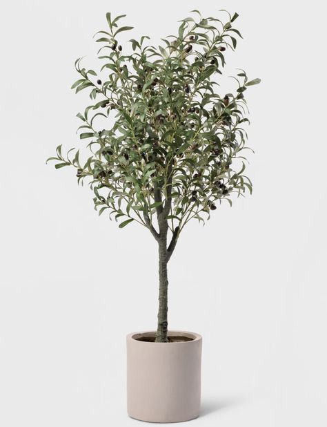 Psalm 129, Faux Trees, Potted Olive Tree, Fiddle Leaf Tree, Faux Olive Tree, Entryway Office, Fake Trees, Indoor Trees, Cement Pots