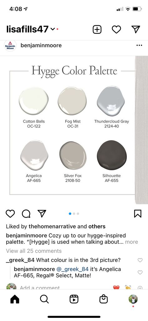 Hygge Color Palette, Thundercloud Gray, Hygge Colors, Gray Palette, Fox Silhouette, Grey Palette, Cotton Balls, Silver Fox, Paint Colors