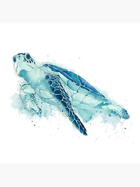 Sea Turtle Illustration, Sea Turtle Drawing, Turtle Illustration, Sea Turtle Pictures, Sea Turtle Watercolor, Sea Turtle Tattoo, Sea Turtle Painting, Turtle Watercolor, Brush Pen Art