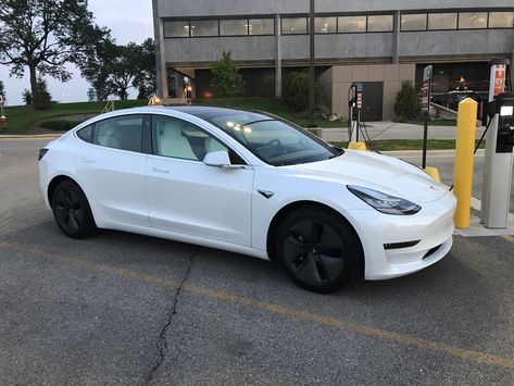 Tesla Model 3 White Interior, 2019 Tesla Model 3, White Tesla Model 3 Aesthetic, Tesla Model 3 Aesthetic, Car Aesthetic Tesla, Tesla Car Model 3, Tesla Model 3 White, White Tesla Model 3, Dream Car Aesthetic