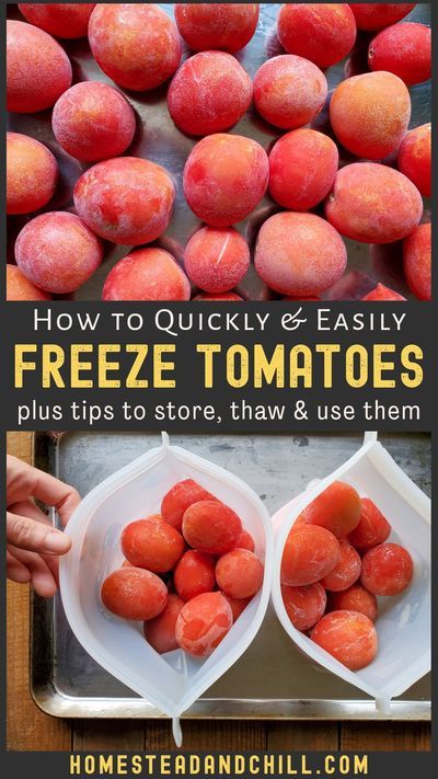 Freezing whole fresh tomatoes is a quick and easy way to preserve them. When you’re too busy (or too hot!) to spend hours over the stove making sauce or canning tomatoes, just pop that bumper crop in the freezer instead! Come learn tips on how to make, store, thaw, and use frozen tomatoes. #tomatoes #preservingfood #garden #homestead How To Freeze Whole Fresh Tomatoes, How To Freeze Tomatoes For Canning Later, Freezing Fresh Whole Tomatoes, Freezing Garden Tomatoes, Freeze Tomatoes To Can Later, Freezing Tomatoes Without Blanching, Can I Freeze Tomatoes, How To Put Up Tomatoes In Freezer, Ways To Use Fresh Tomatoes