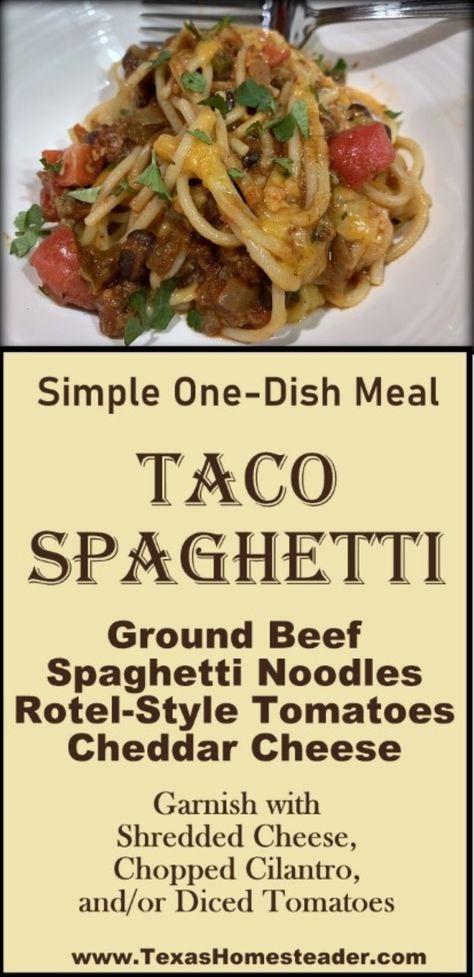 30-Minute Meal: One Pot Taco Spaghetti Recipe. ~ Texas Homesteader ~ Taco Spaghetti To Die For, Spaghetti Taco, Taco Spaghetti Recipe, Squash Gratin, Mexican Spaghetti, Homemade Taco Seasoning Mix, Spaghetti With Ground Beef, Easy Casserole Dishes, Taco Spaghetti