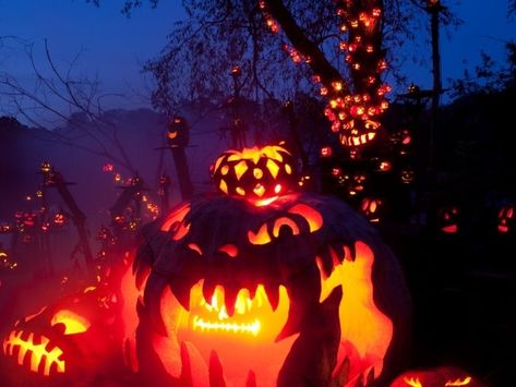 Jack-O-Lantern Spectacular Returning To Roger Williams Park Zoo | Cranston, RI Patch Haunted Houses, Jack O Lantern Spectacular, Haunted Corn Maze, Roger Williams Park, Haunted Hayride, Haunted Attractions, Providence Rhode Island, Corn Maze, Best Pumpkin