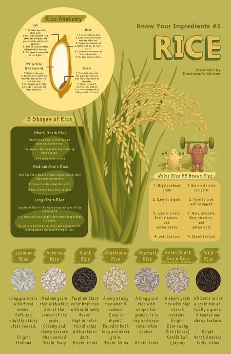 Rice is one of the most important crops in the world.   More than half of the people around the world eat rice.  There are many types of rice and people make various dishes with it.  *Click link for more information and food illustrations! Poster With Information, How To Illustration, Infographic Food, Types Of Rice, Food List, Infographic Design Ideas, Food Infographic Poster, Infographics Design Ideas, Information Poster Design