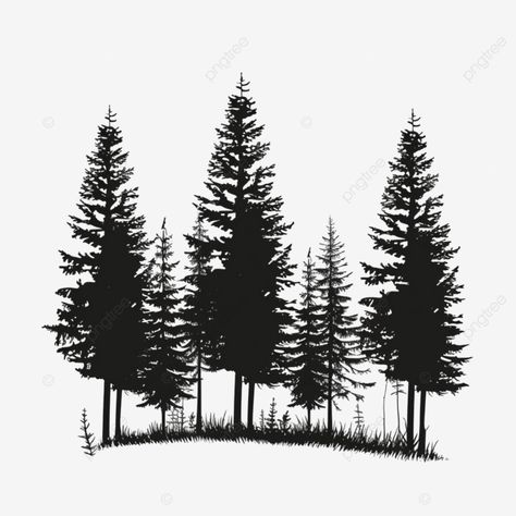 pine tree plant forest silhouette Pine Tree Clipart, Silhouette Forest, Silhouette Tree, Pine Tree Silhouette, Forest Silhouette, Pine Trees Forest, Evergreen Forest, Tree Clipart, Transparent Image