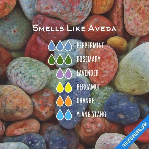 Smells Like Aveda — Essential Oil Diffuser Blend Doterra Oil, Essential Oil Diffuser Blends Recipes, Essential Oil Diffuser Recipes, Oil Diffuser Recipes, Yl Essential Oils, Essential Oil Blends Recipes, Essential Oil Mixes, Living Essentials Oils, Diffuser Recipes