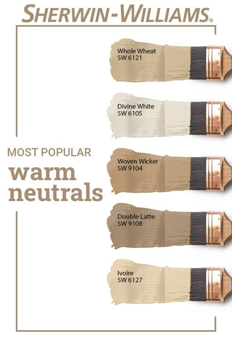 Warm Neutral Paint Colors, Paint Color Schemes, Neutral Paint Colors, Neutral Paint, Bohol, Interior Paint Colors, Paint Colours, Exterior Paint Colors, Paint Colors For Home