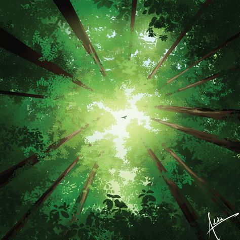 #forest #canopy #leaf #forests #green #sunlight #nature #landscape #bird #art #digitalart #clipstudiopaint Sunlight In Forest, Fairy Forest Bedroom, Magic Forest Art, Forest Clip Art, Green Digital Art, Sunlight Painting, Bennett Aesthetic, Forest Digital Art, Nature Landscape Art