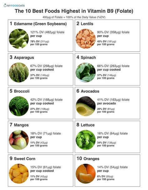 Foods High In Folate, Folate Rich Foods, B12 Foods, Folate Foods, Vitamin Rich Foods, Vitamin B9, Pregnant Diet, Holistic Nutrition, Healing Food