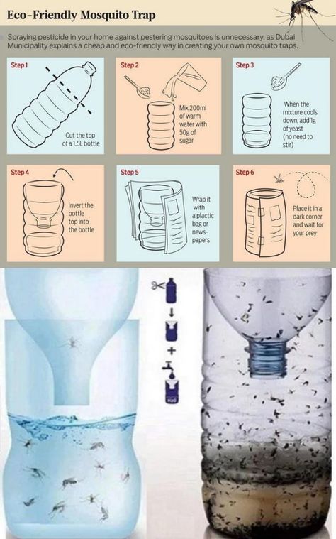 Get Rid Of Mosquitos, Mosquito Trap Diy, Mosquito Repellent Homemade, Mosquito Traps, Diy Mosquito Repellent, Bug Spray Recipe, Diy Beer, Natural Mosquito Repellant, Mosquito Trap