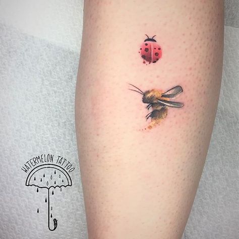 Nov 14, 2018 @ 12:44 ⋆ Watermelon🍉Tattoo Ladybird Tattoo, Ladybug Tattoos, Watermelon Tattoo, Ladybug Tattoo, Sketch Style Tattoos, Lady Bug Tattoo, Bug Tattoo, Insect Tattoo, Semicolon Tattoo