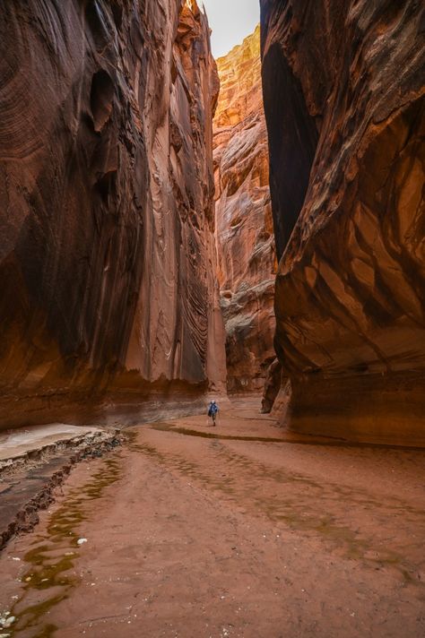 13 Stunning Utah Slot Canyons Paria Canyon, Utah Hiking, Zion Park, Snow Canyon State Park, Slot Canyons, Grand Staircase Escalante, Zion Canyon, Escalante National Monument, Utah Hikes