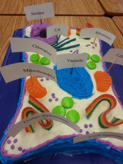 More edible cells Plant Cell Cake, Animal Cell Model Project, Edible Animal Cell, 3d Plant Cell, Edible Cell Project, Cell Cake, 3d Animal Cell, Plant Cell Project, Edible Cell