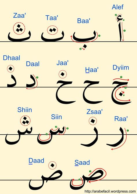 Today’s Challenge! Learn To Write The Letters Of The Arabic Alphabet Islamic Alphabet, Learning Arabic For Beginners, Alphabet Handwriting Practice, Spoken Arabic, Alphabet Arabe, Arabic Alphabet Letters, Learn Arabic Online, Arabic Worksheets, Teach Arabic