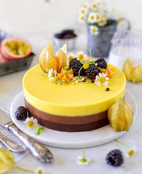 Passion Fruit Chocolate, Entremet Cake, Traditional French Desserts, Cheesecake Decoration, Passion Fruit Cake, Passion Fruit Mousse, Charlotte Cake, Fruit Chocolate, French Dessert