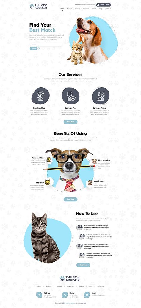 Behance Website Design, Pet Landing Page, Pet Website Design Inspiration, Animal Website Design, Landing Pages Inspiration, Landing Design Ideas, Pet Graphic Design, Pet Website Design, Pet Branding Design