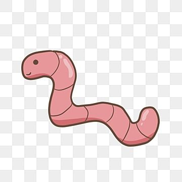 worm,cute,worm clipart,worm vector,cute vector,pink vector,lovely,cartilaginous animal,crawl,squirming,pink,cartoon clipart,insect fruit,light pink,light vector,smile,animal,soil,cute animal,cartoon,illustration,animal illustration Worm Clipart, Worm Cartoon, Worm Illustration, Animal Cartoon Illustration, Crawling Animals, Worm Drawing, Worm Crafts, Cacing Tanah, Red Wiggler Worms