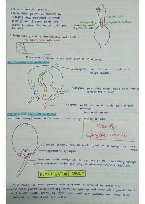 Reproduction In Plants, Human Eye Diagram, Biology Class 12, Biology Plants, Basic Anatomy, Short Notes, Learning Stories, Basic Anatomy And Physiology, Study Biology