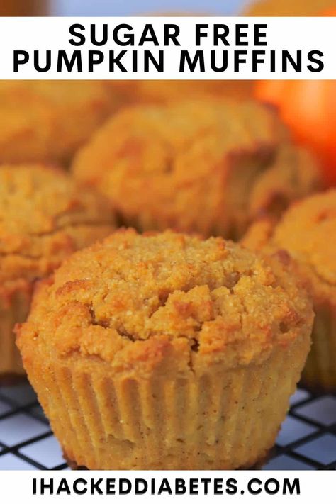 Sugar Free Pumpkin Muffins, Keto Pumpkin Muffins, Easy Pumpkin Muffins, Sugar Free Muffins, Keto Breakfast Muffins, Gluten Free Pumpkin Muffins, Pumpkin Muffins Easy, Pumpkin Muffin Recipes, Pumpkin Recipes Easy