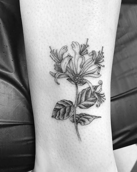 SimpleMinimalist Honeysuckle Tattoos @cliftonwcarterjr Honeysuckle Flower Tattoo, Flower Tattoo Meaning, Honeysuckle Tattoo, Flor Tattoo, Army Tattoos, Flower Tattoo Meanings, Flower Wrist Tattoos, Aries Tattoo, Honeysuckle Flower