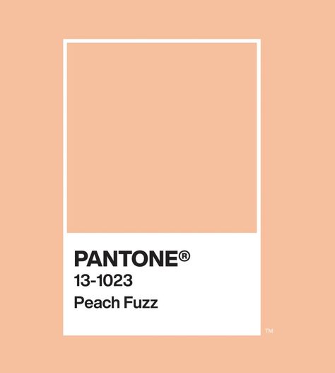 PANTONE Color Of The Year 2024: PANTONE 13-1023 Peach Fuzz. Peach Pantone 2024, Pantone Color 2024 Peach Fuzz, Pantone 13-1023 Peach Fuzz, Pantone Colour Of The Year 2024, 2024 Pantone Color Of The Year, Pantone Color Of The Year 2024, Peach Fuzz Pantone 2024, Pantone Color 2024, Pantone Peach Fuzz