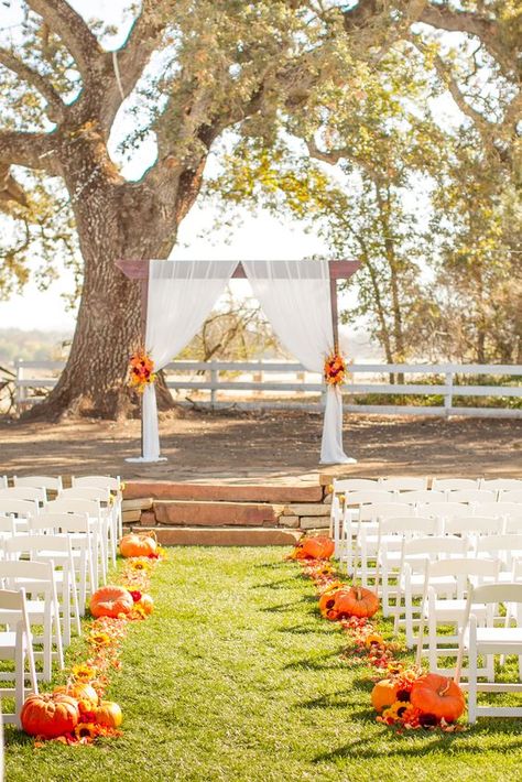 fall pumpkin wedding arch / http://www.himisspuff.com/fall-wedding-arch-and-altar-ideas/3/ Pumpkin Wedding Decorations, Diy Fall Wedding Decorations, Fall Wedding Arches, Fall Ceremony, Wedding Aisles, Fall Wedding Ceremony, Fall Wedding Diy, Pumpkin Wedding, Rustic Wedding Decorations