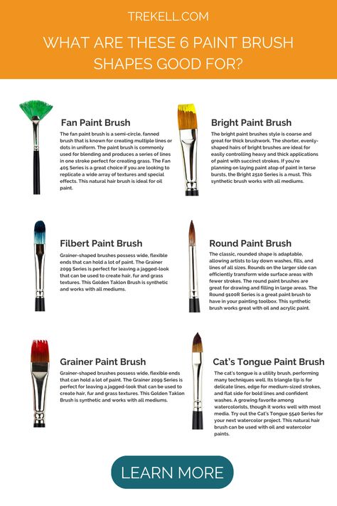 Round Paint Brush, Natural Hair Brush, Painting Skills, Bright Paintings, Fan Brush, Watercolor Projects, How To Clean Makeup Brushes, Painting Tutorials, Types Of Painting