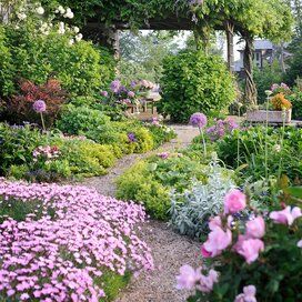 Simple Landscape Design, Beginners Landscaping, Oswald Chambers, Garden Flower Beds, Cottage Garden Design, Garden Shrubs, Backyard Inspiration, Low Maintenance Garden, Garden Pictures