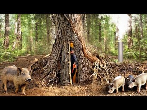 Building a secret shelter deep inside big tree - YouTube Big Old Tree, Secret Room, Old Tree, Disaster Preparedness, Secret Rooms, Big Tree, Play Houses, Wolves, Tree House