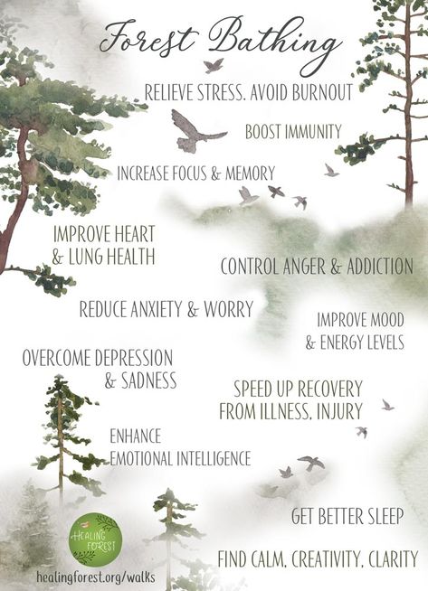 Forest Bathing – What, How, Where? A beginner’s guide | Healing Forest Japanese Practice, Shinrin Yoku, Lungs Health, Forest Bathing, How To Improve Relationship, Improve Mood, Ways To Relax, Therapy Activities, Walking In Nature