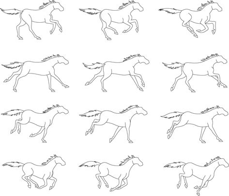 Horse Running Reference, Horse Animation Drawing, Horse Walk Cycle, Horse Run Cycle, Horse Running Animation, Horse Run Animation, Running Horses Drawing, How To Do Animation, Horse Running Drawing