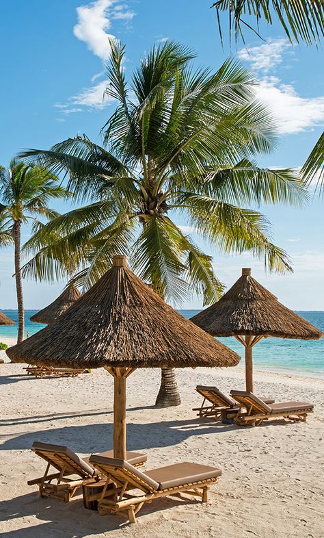 Beach Resort Aesthetic, Beach Resort Design, Africa Beach, Best Beach Destinations, African Beach, Zanzibar Travel, Tropical Beach Resorts, Beach Tree, Zanzibar Beaches