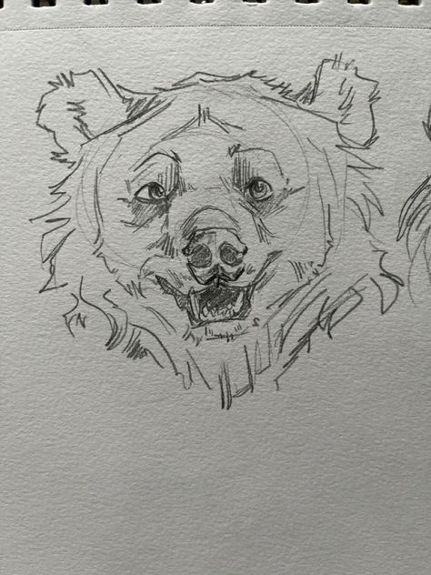 Drawing Bears Sketches, Bear Sketches, Bear Doodles, Bear Sketch, Animal Drawings Sketches, Sketchbook Drawings, Grunge Art, Art Tools Drawing, Art Diary