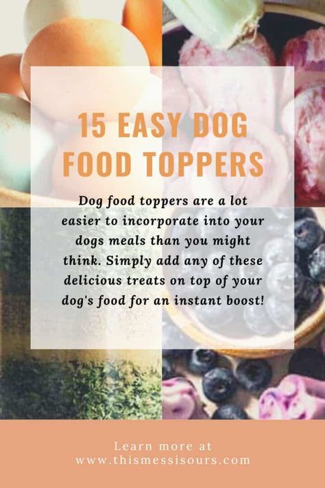 Dog Gravy, Dog Food Toppers, Frosting Decorating, Pretzel Dessert, Chocolate Goodies, Painting Front Porch, Diy Dog Food, Make Dog Food, Bone Broth Recipe